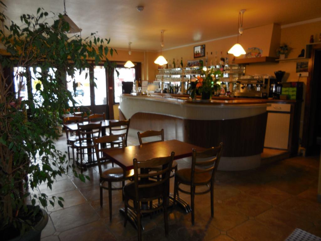 Hotel Le Lion D'Or 萨尔布里 外观 照片